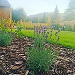 Wimer Holiday home Wysowa-Zdroj