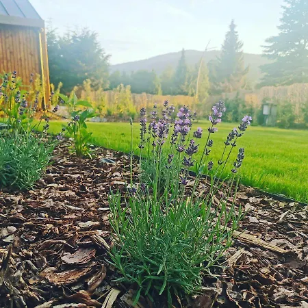 Wimer Prázdninový dům Wysowa-Zdrój