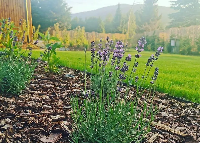 Wimer Casa vacanze Wysowa-Zdrój